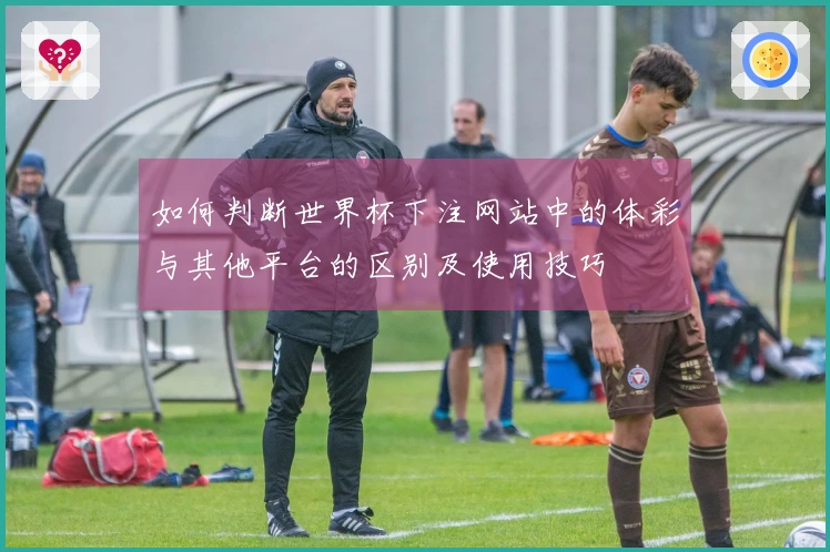 如何判断世界杯下注网站中的体彩与其他平台的区别及使用技巧