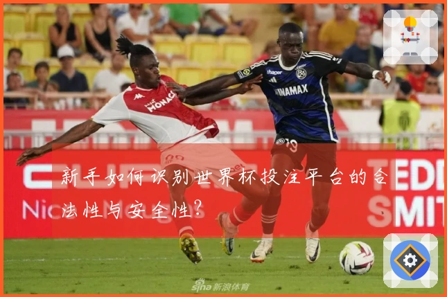 新手如何识别世界杯投注平台的合法性与安全性？