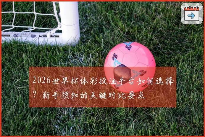 2026世界杯体彩投注平台如何选择？新手须知的关键对比要点