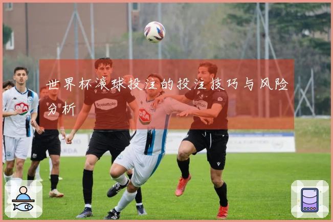 世界杯滚球投注的投注技巧与风险分析