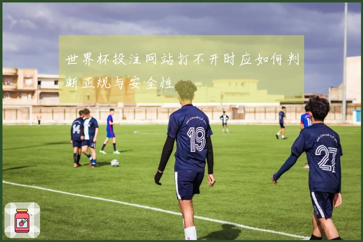 世界杯投注网站打不开时应如何判断正规与安全性