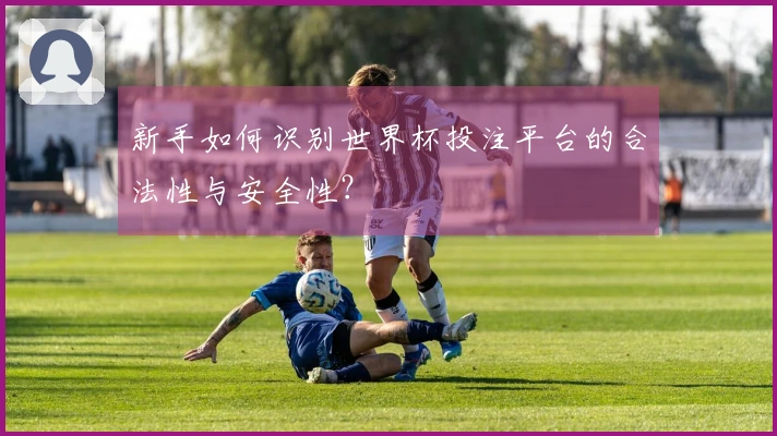 新手如何识别世界杯投注平台的合法性与安全性？