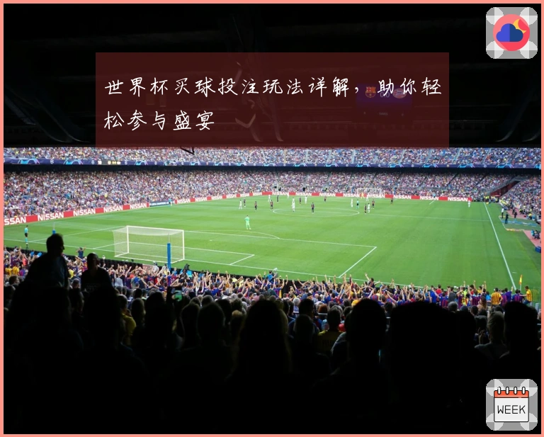世界杯买球投注玩法详解，助你轻松参与盛宴