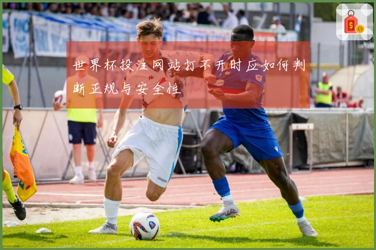 世界杯投注网站打不开时应如何判断正规与安全性
