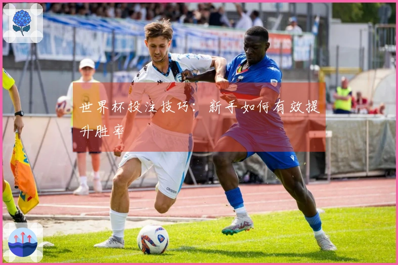 世界杯投注技巧：新手如何有效提升胜率