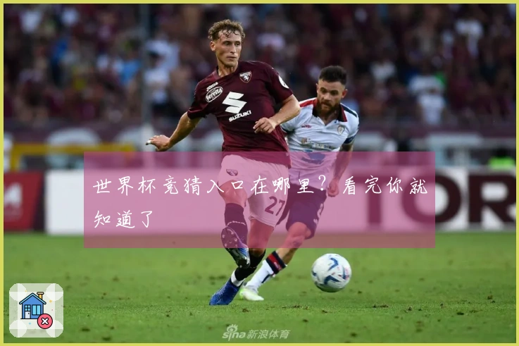 世界杯竞猜入口在哪里？看完你就知道了